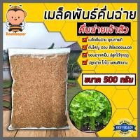 ราคา เมล็ดคื่นฉ่าย เจ้าสัว หนัก 500กรัม เมล็ดพันธุ์คื่นฉ่าย เมล็ดสมบรูณ์ โตง่าย โตเร็ว ผลผลิตงาม เมล็ดพันธุ์ผัก (18701666127)
