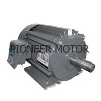 ราคา PIONEER MOTOR มอเตอร์กำลัง มอเตอร์ไฟฟ้า 3 เฟส 2 แรง (9983884117)