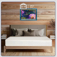 ราคา Home Best ส่งฟรี ที่นอนสปริงผ้านุ่มรุ่น Reserve 2 คิ้ว หนา 8 นิ้ว สีขาว ที่นอนประหยัด spring mattress ที่นอน (12540950175)
