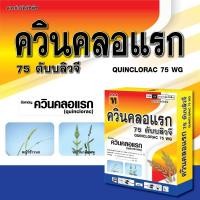 ราคา ควินคลอแรกกล่องทอง 75 ดับบิวจี กำจัดหญ้าข้าวนก ลิเก หญ้าดอกขาว พุ่มพวง ขนาด 100กรัม (16436642596)