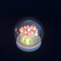 ราคา A Clouds ทิวลิป DIY โคมไฟ Led โคมไฟของขวัญ ไฟกลางคืน ดอกไม้อมตะ (20776021930)