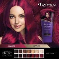 ราคา Dipso Super Shine Hair Color Wax ดิ๊ฟโซ่ แว็กซ์สี 150 ml (12733496278)
