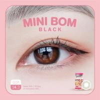 ราคา คอนแทคเลนส์ คิตตี้ คาวาอิ Mini Bom Black (16796540757)