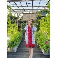 ราคา ชุดกระเหรี่ยง ชุดพื้นเมือง เดรสพื้นเมือง เดรสผ้าฝ้าย สาวอวบ สาวไซส์ใหญ่ (19103870884)