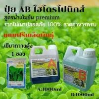 ราคา ธาตุอาหารพืช ปุ๋ยไฮโดรโปนิกส์ ปุ๋ยAB ปุ๋ยน้ำ ปุ๋ยผักสลัด สำหรับปลูกผัก Hydroponics ขนาด1000ML และ250ML แถมฟรีเมล็ดพันธุ์ เขียวกวางตุ้ง (9563014381)