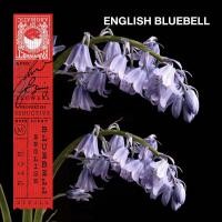 ราคา KARMAKAMET Original Aromatic Glass Candle คามาคาเมต เทียนหอม เทียน สร้างบรรยากาศ กลิ่นหอม บ้านหอม (18175854470)