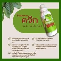 ราคา โสมแดงควิก Quick วิตามินบำรุงกำลัง สำหรับพืชอินทรีสารวิตามิน บำรุงพืช โตไว โตเร็ว โตดี (21175335608)