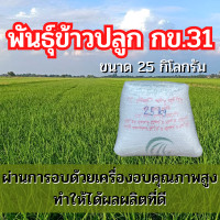 ราคา พันธุ์ข้าว กข31 ข้าวพันธุ์กข31 ข้าวปลูก กข31 พันธุ์ข้าวปลูก กข31 จำนวน 25 กิโลกรัม (20909671485)
