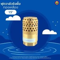 ราคา ฟุตวาล์ว ทองเหลือง รังผึ้ง หัวกะโหลก 3 4นิ้ว 1นิ้ว 1 5นิ้ว 2นิ้ว BRASS FOOT VALVE สปริง ดูดน้ำ ปั๊มน้ำ กันรั่ว กรองสิ่งสกปรก งานประปา มิตสห Mitsaha (8941341115)