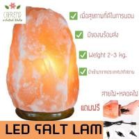 ราคา โคมหินเกลือหิมาลัย เกลือชมพู ธรรมชาติแท้ เพื่อสุขภาพ นำเข้าจากปากีสถาน Himalayan Salt Lamp โคมหินเกลือแก้ภูมิแพ้ หินเกลือหิมาลัย 2 3 Kg (11392624474)