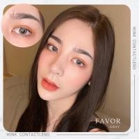 ราคา favor gray สีเทาละมุน by winks (17361967543)