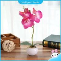 ราคา กล้วยไม้ปลอม ดอกกล้วยไม้ปอม flowers for decoration กล้วยไม้ประดิษฐ์ผีเสื้อบอนไซกระถางพืชปลอมประดับบ้านระเบียงสวนเดสก์ท็อปห้องนอนห้องนั่งเล่น (17120081412)