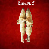 ราคา โปร 4 4 หุ่นเสน่ห์ยาแฝด สายขาวไม่เข้าตัว ปลุกเสกแล้ว หุ่นกุมารพราย หุ่นกุมารทอง เด่นด้านเมตตามหานิยม ผูกจิตมัดใจ เรียกคนรักกลับคืนมา (18421964442)