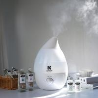 ราคา มีประกัน ดูเเลตลอดชีพ Humidifier เครื่องพ่นไอน้ำอโรม่าขนาด 3000 ml เครื่องฟอกอากาศระบบไอน้ำ เครื่องทำความชื้นเครื่องพ่นน้ำหอม (10597127999)