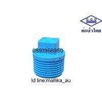 ราคา ปลั๊กอุด PVC ขนาด 2 2นิ้ว ยี่ห้อท่อน้ำไทย หนา 13 5 (7689315282)