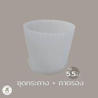 ราคา กระถางรอนใส ขุ่น ชุดกระถาง พร้อมถาดรอง เกรดพรีเมี่ยม หนา ดีไซส์สวย 4 5 7 นิ้ว (17426467878)