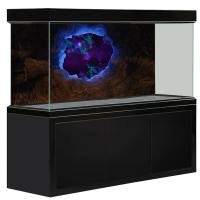 ราคา สติกเกอร์ติดตู้ปลา ะผนังอิฐ ฉากหลังตู้ปลา กาวโปสเตอร์ตู้ปลาเครื่องตกแต่งฝาผนังสติ๊ ใช้ตกเเต่งตู้ปลา ออกแบบฟรี (16038181940)