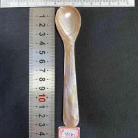 ราคา ช้อนเปลือกหอยมุกธรรมชาติ mask caviar dessert spoon 7 16cm (21134469189)