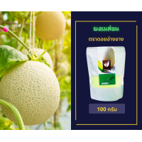 ราคา ผงมิกเบอรี่ ผงลิ้นจี่ ผงองุ่น ผงกีวี่ ผงพีช ผงมันม่วง ผงเมล่อน ผงกล้วย (17059269641)