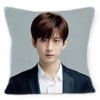 ราคา หมอนอิง ปลอกหมอนอิงผ้ากำมะหยี่ลายเฉิงอี้ Cheng Yi ดาราจีน พิมพ์ลาย2ด้าน ปลอกมีซิปถอดซักได้ (20502683211)