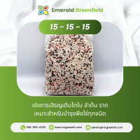 ราคา ปุ๋ยสูตร 15 15 15 สูตร 16 16 16 สูตร 8 24 24 สูตร 29 9 9 แบ่งขาย (19589562687)