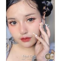 ราคา Opal puffy gray รุ่นสีเทา หวานแซ่บ ขนาดโตกว่าตา (14402075071)