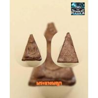 ราคา พระนางพญา เนื้อดินเผา ออกวัดนางพญา จ พิษณุโลก พระนางพญา มีการขุดพบครั้งแรกในปี พ ศ ๒๔๔๔ ผ่านพิธีพุธทธาภิเษกแล้ว ของมีพร้อมส่ง (9078491827)