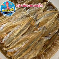 ราคา ปลาช่อนทะเลเล็ก อย่างดี ปลาช่อนผ่าเล็ก เนื้อหวานธรรมชาติ ไม่เค็ม ช่อนทะเลสวยๆคัดอย่างดี สด สะอาด ใหม่ทุกวัน (20279583529)