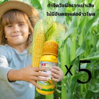 ราคา ยาชุดข้าวโพด เติมน้ำโดยตรง 1 100 เข้มข้นสุดๆ สารกำจัดวัชพืช ฆ่าหญ้าข้าวโพด ไม่ทำร้ายข้าวโพด ยาฆ่าหญ้าในข้าวโพด ไม่ทำร้ายดิน ยาฆ่าหญ้าข้าวโพด กำจัดวัชพืชทุกชนิด ยาฉีดหญ้าข้าวโพด (20682996198)