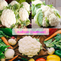 ราคา เมล็ดพันธุ์ กะหล่ำดอก Cauliflower 300 เมล็ด ปลูกง่าย ปลูกได้ทั่วไทย (1715600411)