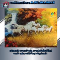 ราคา ภาพโปสเตอร์ ม้า ม้าวิ่งในทุ่งหญ้าสีทอง ภาพมงคล เสริมฮวงจุ้ย ขนาด 16 20 นิ้ว หรือ 40 6 50 8 เซนติเมตร (7445680443)