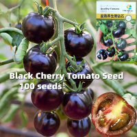 ราคา เมล็ดพันธุ์ มะเขือเทศ Tomato Seed เมล็ดพันธุ์ มะเขือเทศเชอรี่ สีเหลือง เมล็ดพันธุ์มะเขือเทศเชอรี่ สีดำ High Yield Cherry Tomato Seed Organic Vegetable Seeds for Planting Bonsai Fruit Seeds Vegetable P