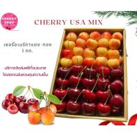 ราคา เชอรี่สีทอง เชอรี่สีแดง ขนาด 1 กิโลกรัม (19708592643)