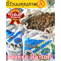 ราคา มูลวัวนม 100 ตากแห้ง แบ่งขาย ขี้วัวนมแท้100 ขี้วัวนมตากแห้ง Dry Cow Dung เหมาะสำหรับ เลี้ยงไส้เดือน ปุ๋ยคอกชั้นดี สำหรับบำรุงไม้ใบต่างๆ (16820263216)
