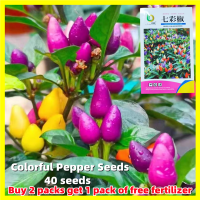 ราคา 40เมล็ด พริกประดับเจ็ดสี Rainbow Chilli Pepper Seeds ผลผลิตสูง เมล็ดพันธุ์พริก7สี เมล็ดพริกสีรุ้ง Hot Pepper Chilli Seeds Organic Vegetable Seeds Chili Plant บอนสีหายาก เมล็ดบอนสี บอลสีชนิดต่างๆ บอนสี
