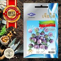 ราคา เมล็ดพันธุ์ มะเขือเปราะ ม่วง 0 5กรัม เมล็ด ต้นไม้ เมล็ดผัก เมล็ดดอกไม้ ดอกไม้ ผัก ผักสวนครัว สลัด เมล็ดพันธุ์พืช (10038745327)