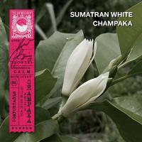 ราคา KARMAKAMET Original Aromatic Glass Candle คามาคาเมต เทียนหอม เทียน สร้างบรรยากาศ กลิ่นหอม บ้านหอม (13249246014)