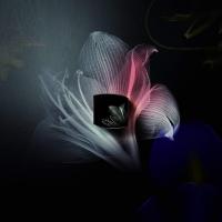 ราคา POLA BA HYDRATING COLOR CREAM โพลา บี เอ ไฮเดรติ้ง คัลเลอร์ ครีม (11863459454)