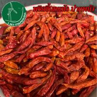 ราคา พริกขี้นกแห้ง 1กิโลกรัม พริกแห้ง พริกแห้งพริกขี้นก พริกแห้งภาคใต้ พริกแห้งภาคไต้ (14227965006)