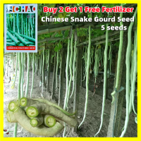 ราคา เมล็ดพันธุ์ บวบงูขาว Long Snake Gourd Seed เมล็ดพันธุ์ บวบงู ยาวยักษ์ พันธุ์ อนาคอนด้า บรรจุ 5 เมล็ด คุณภาพดี ราคาถูก ของแท้ 100 Giant Long Variety Python Snake Bean Seeds for Planting Vegetables Seed