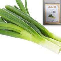 ราคา เมล็ดต้นหอม ญี่ปุ่น ต้นหอมญี่ปุ่น ซื้อ 10 แถม 1 คละอย่างได้ (4625350964)