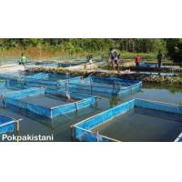 ราคา กระชังเลี้ยงปลากบ สินค้าคุณภาพ พร้อมใช้งาน (17178895948)