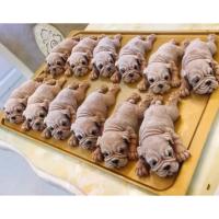 ราคา พิมพ์ซิลิโคน ทำวุ้นทำน้ำแข็ง รูปสุนัขแบบ 5D ทำวุ้น ใช้ทำขนม ซิลิโคนโมลด์ รูปหมา dog silicone mold (20432692785)