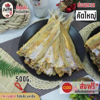 ราคา ช่อนทะเลคัดใหญ่ 500 กรัม ครึ่งกิโล ปลาช่อนทะเลตากแห้ง ปลาจิ๊กโก๋ ปลาไล้กอ เจ้หวานฟู้ดส์ (7110758198)