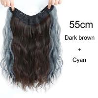 ราคา 55cmV รูปผมหยิกยาวสังเคราะห์ไฮไลท์แขวนหูต่อผมสีชมพูสีเทาสีฟ้าชิ้นเดียวที่มองไม่เห็นต่อผม (15697970714)
