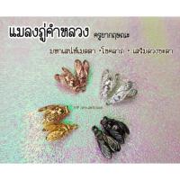 ราคา ของแท้ 100 จัดส่งไว แมลงภู่คำ ครูบากฤษณะ อินทวัณโณ ตัวจิ๋ว (18549620311)