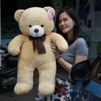 ราคา ลดแรง ตุ๊กตาหมีสีน้ำตาล ตุ๊กตาหมีสีขาว ตุ๊กตาหมีน้ำตาลอ่อน ตุ๊กตาหมีสีชมพู รุ่นขนสั้น 80 cm (20389066536)