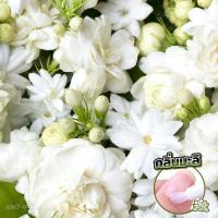 ราคา ออยล์บำรุงเล็บแบบปากกา น้ำมันบำรุงเล็บ น้ำมันบำรุงขอบเล็บ (15659135152)