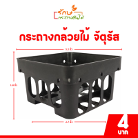 ราคา กระถาง จานรอง กระถางต้นไม้ กระถางกล้วยไม้ จัตุรัส กระถางกล้วยไม้ เบอร์ 3 3 5 4 6 8 นิ้ว สีดำ (20843556080)