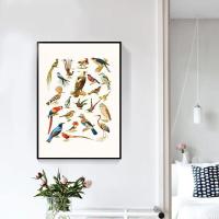 ราคา รายการผ้าใบวาดภาพโปสเตอร์โบราณของนกชนิดต่างๆรูปภาพศิลปะผนังการตกแต่งภายในสำหรับ0706ที่อาศัยอยู่ (19641971735)